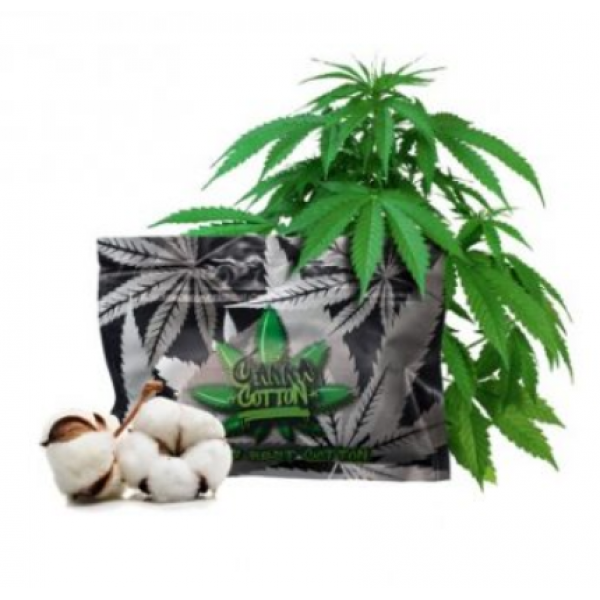 Canna Cotton Canna Cotton